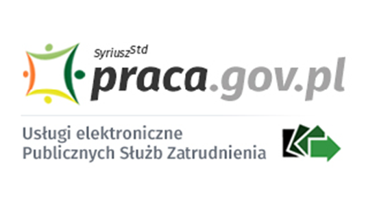 UE PSZ Usługi elektroniczne - link