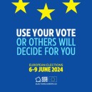 Obrazek dla: Wybory do Parlamentu Europejskiego